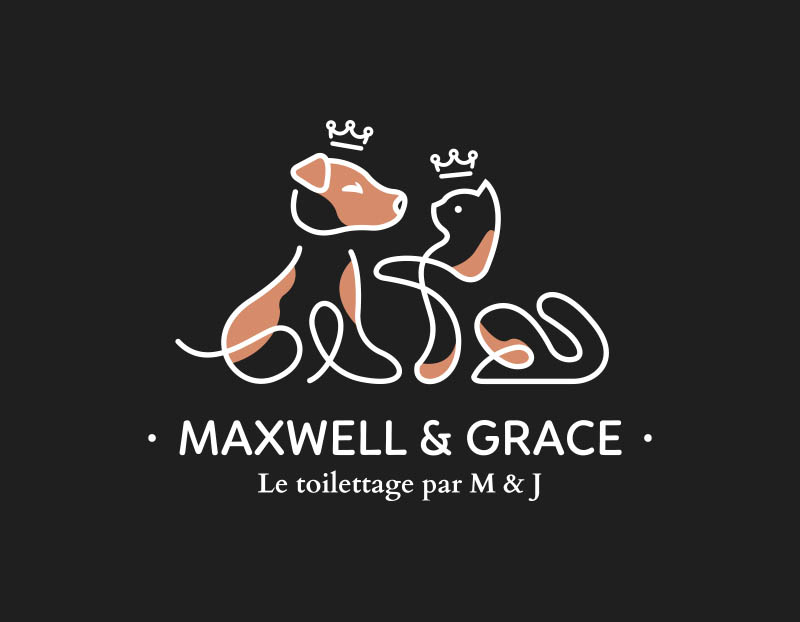 Comment se déroule une séance de toilettage pour votre chien chez Maxwell-Grace à Lille ?